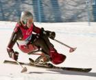 slalom rekabette Paralimpik kayakçı
